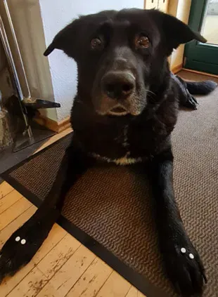 Luna liebt Schüssler-Salze