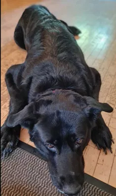 Luna liebt Schüssler-Salze